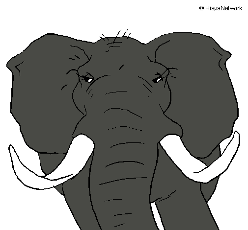 Dibujo Elefante africano pintado por Ivis