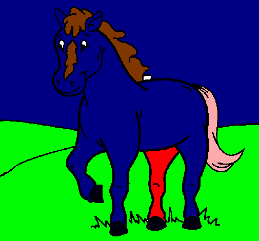 Caballo