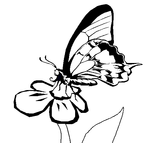 Dibujo Mariposa en una flor pintado por maray