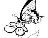 Dibujo Mariposa en una flor pintado por maray