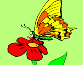 Dibujo Mariposa en flor pintado por zaii