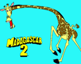 Dibujo Madagascar 2 Melman 2 pintado por madagascar 