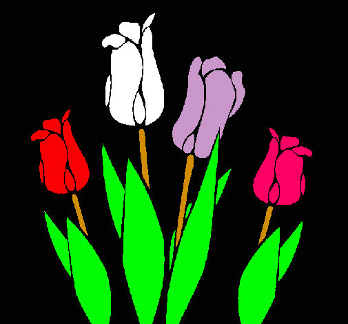 Tulipanes