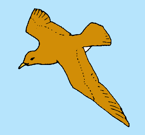 Gaviota