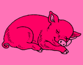 Dibujo Cerdo durmiendo pintado por orianita