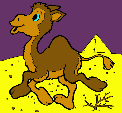 Dibujo Camello pintado por animal