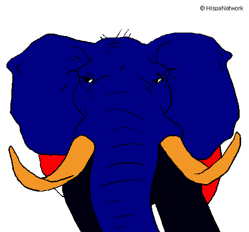 Elefante africano