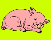 Dibujo Cerdo durmiendo pintado por valenrome