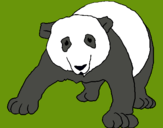 Dibujo Oso panda pintado por kaoshi