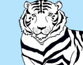 Dibujo Tigre pintado por renatadrag