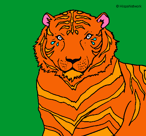 Dibujo Tigre pintado por Yanii