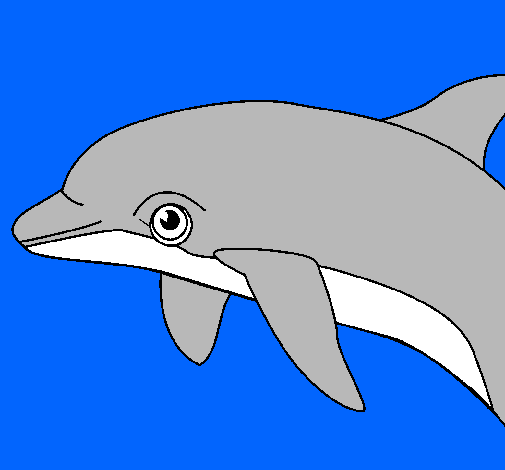 Dibujo Delfín pintado por BelenR