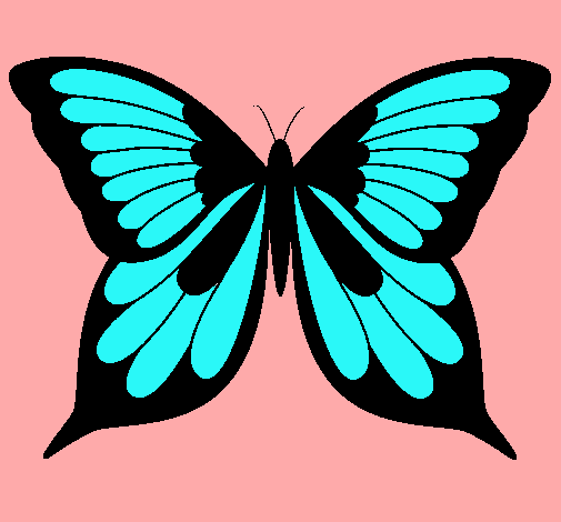 Mariposa