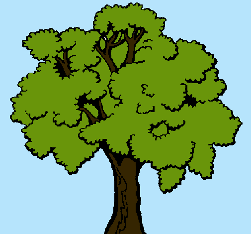 Árbol