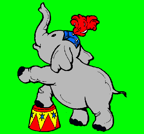 Elefante