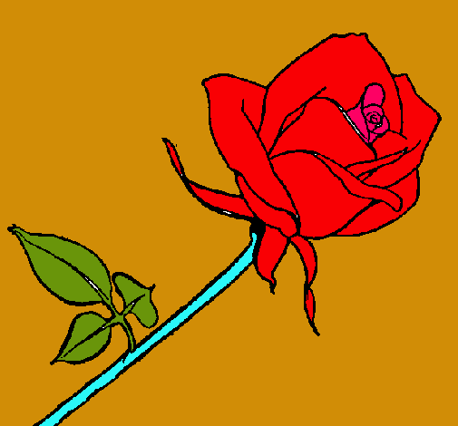 Rosa