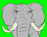 Dibujo Elefante africano pintado por ebro2005