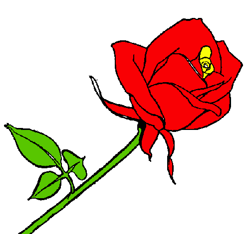 Rosa