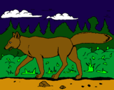 Dibujo Coyote pintado por animal