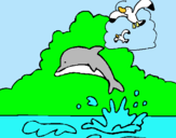Dibujo Delfín y gaviota pintado por supermojad