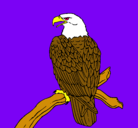 Dibujo Águila en una rama pintado por animal