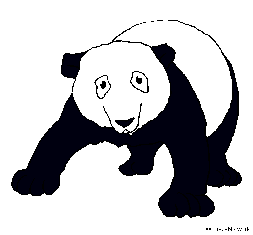 Oso panda