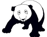Dibujo Oso panda pintado por alicura