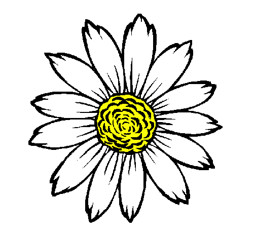 Girasol