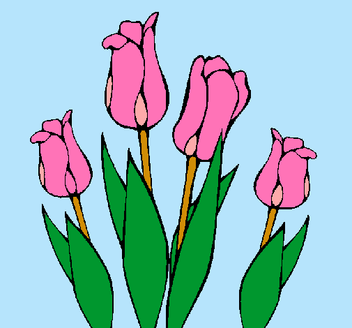 Tulipanes