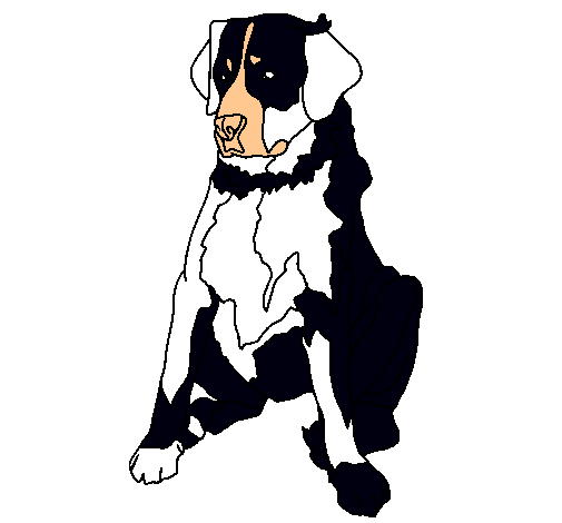 Dibujo Labrador pintado por pasiego