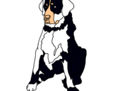 Dibujo Labrador pintado por pasiego