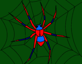 Dibujo Araña pintado por hgkhgpkfjgho