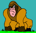 Dibujo Gorila pintado por GORI