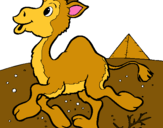 Dibujo Camello pintado por goloso