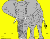 Dibujo Elefante pintado por ricardito