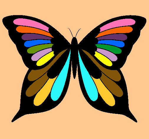 Mariposa