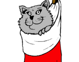 Dibujo Gato dentro de una calcetín pintado por graciela21