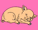 Dibujo Cerdo durmiendo pintado por SOFIALIMALOA