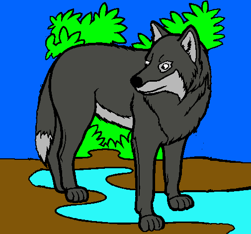 Dibujo Lobo pintado por denia243