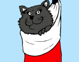 Dibujo Gato dentro de una calcetín pintado por aslin