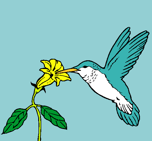 Dibujo Colibrí y una flor pintado por BelenR