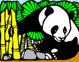 Dibujo Oso panda y bambú pintado por BelenR