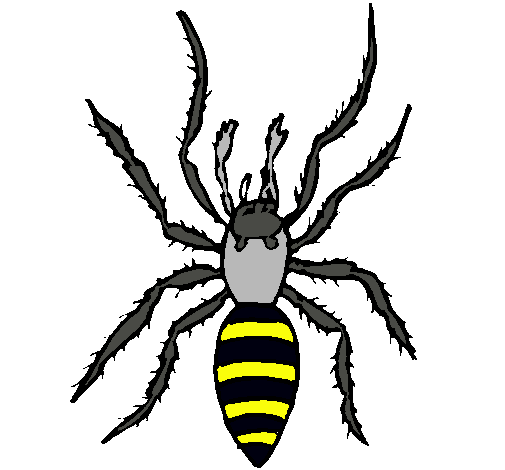 Araña tigre