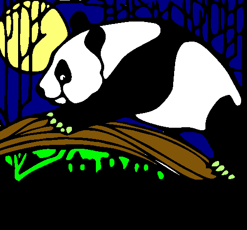 Dibujo Oso panda comiendo pintado por CHUMANEL