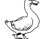 Dibujo Pato pintado por victopr