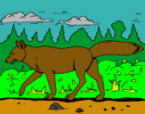 Dibujo Coyote pintado por martacarrero