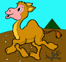 Dibujo Camello pintado por sebs