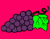 Dibujo racimo pintado por uvas