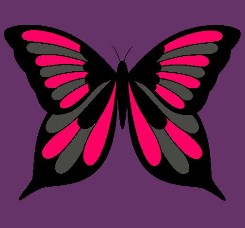 Mariposa