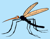 Dibujo Mosquito pintado por mosqui